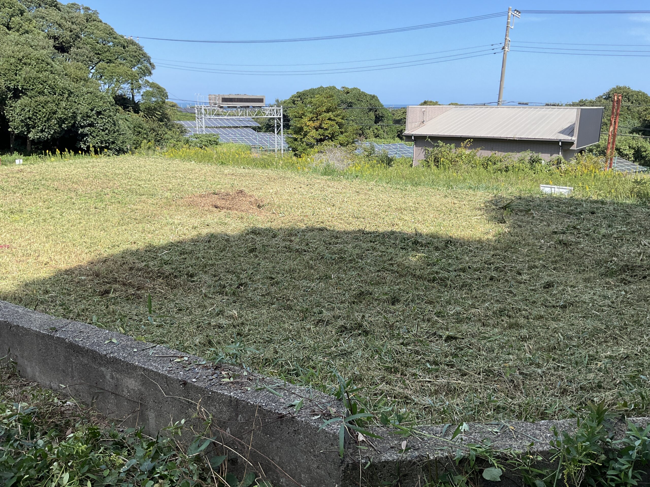 草刈り施工後の様子